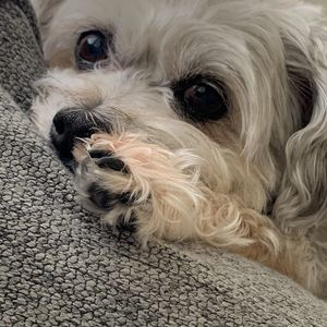 Meet your Posher, Melanie